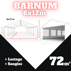 Location barnum Annemasse